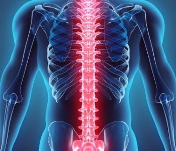 66c96ff041dcba682a5eadb3190d93b0 66c96ff041dcba682a5eadb3190d93b0